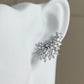 Boucles d'oreilles Paradis